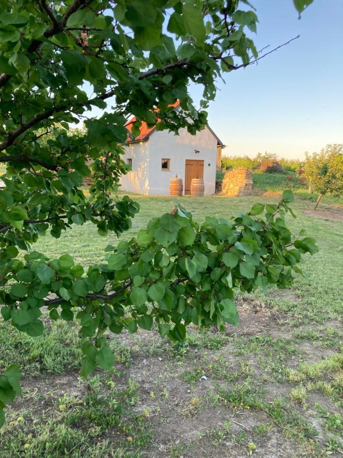 Ubytovani Smudla Znojmo Exteriör bild