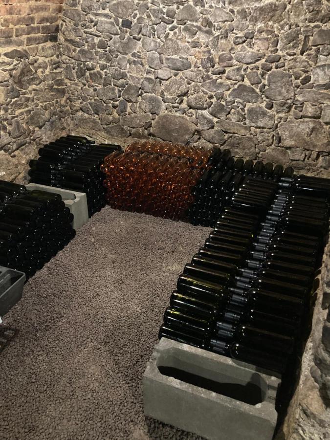 Ubytovani Smudla Znojmo Exteriör bild