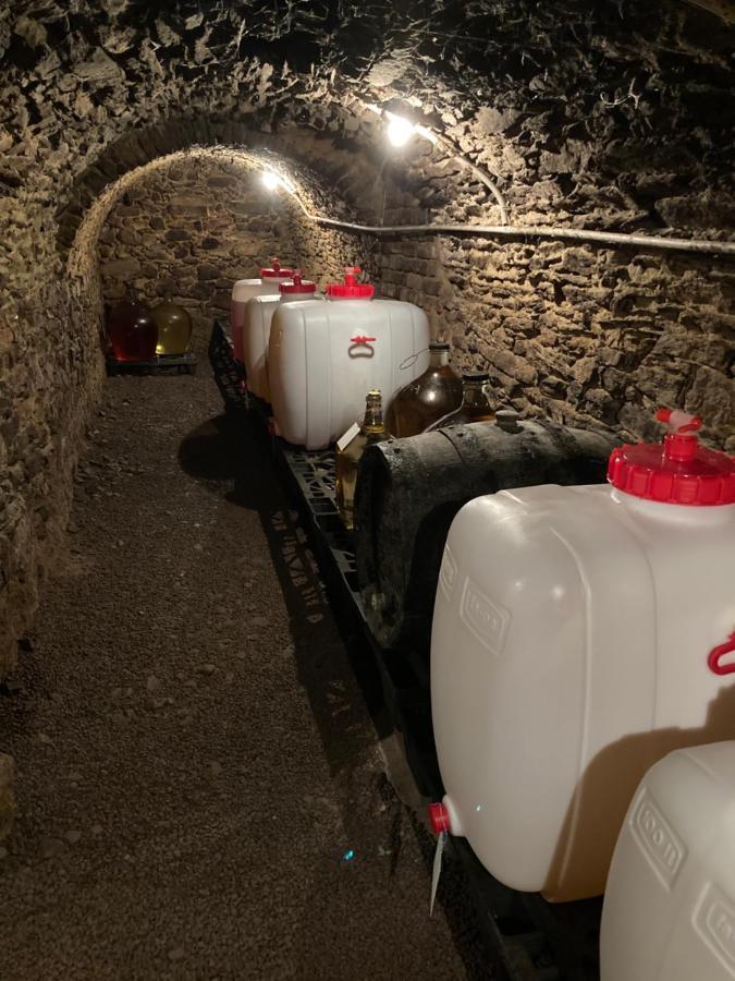 Ubytovani Smudla Znojmo Exteriör bild