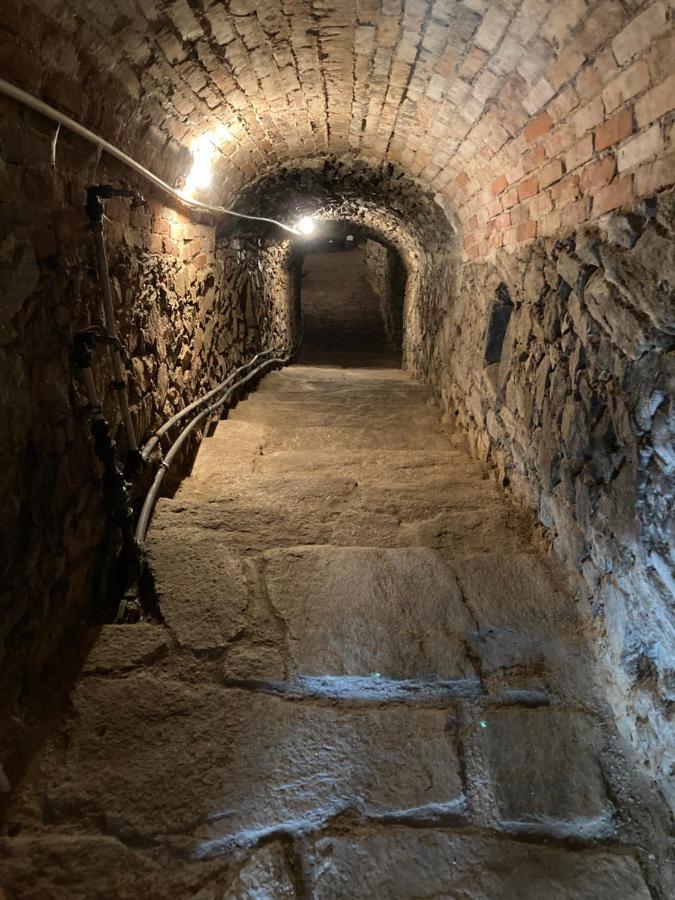 Ubytovani Smudla Znojmo Exteriör bild
